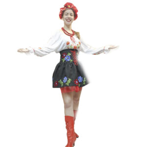 Вишиванка з маками,корсет з спідницею